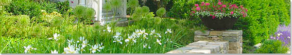 Entry Gardens