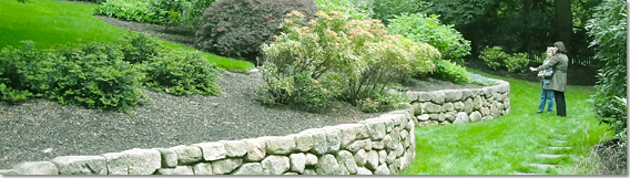 Design Services